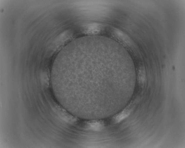 X0000076320370200610272010