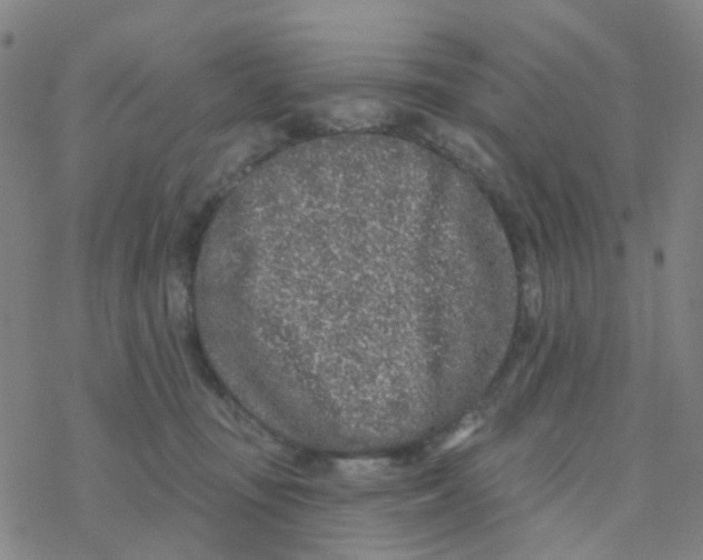 X0000076320371200610272010