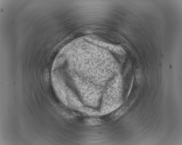 X0000076320372200610272010