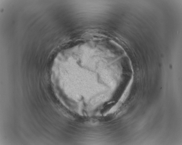 X0000076320373200610272010