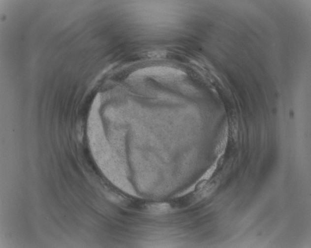 X0000076320374200610272010