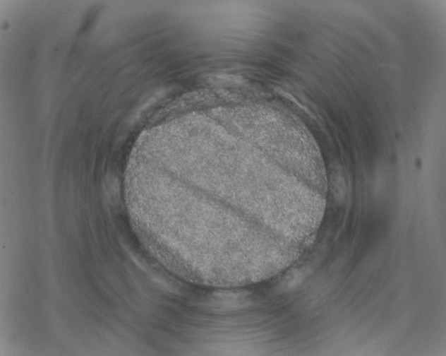 X0000076320375200610272010