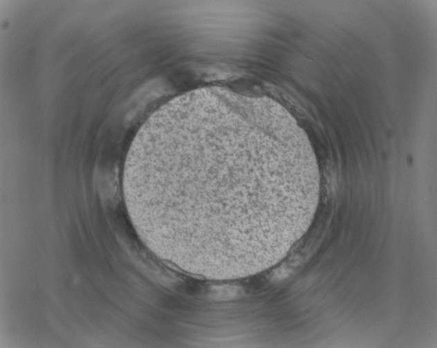 X0000076320376200610272010