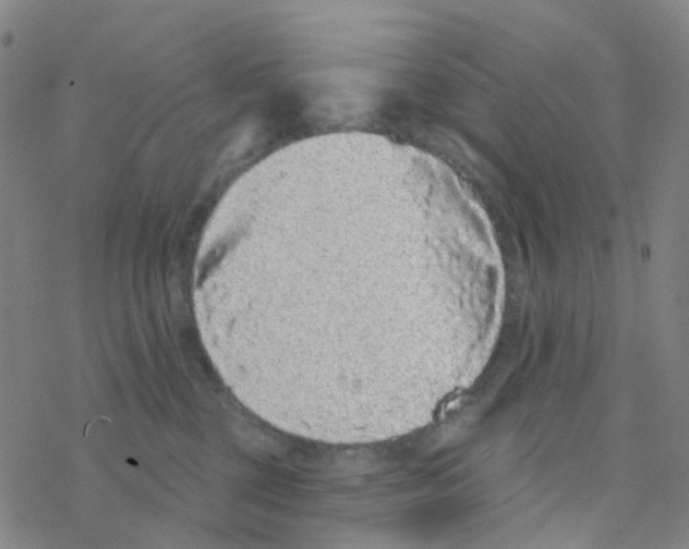 X0000076320377200610272010