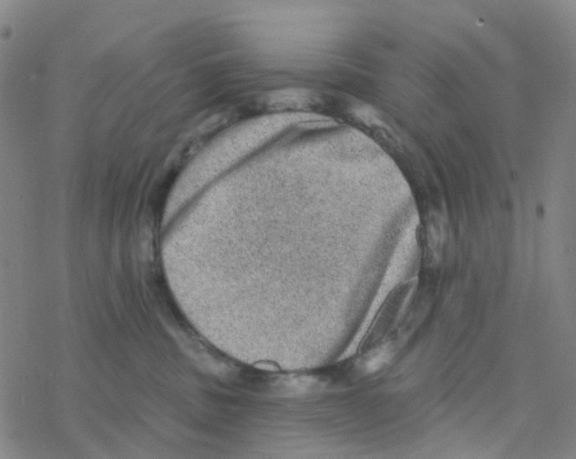 X0000076320379200610272010