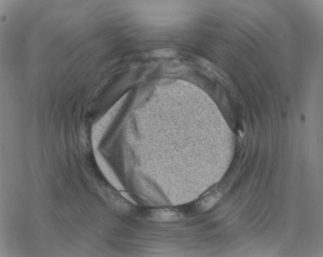 X0000076320380200610272010