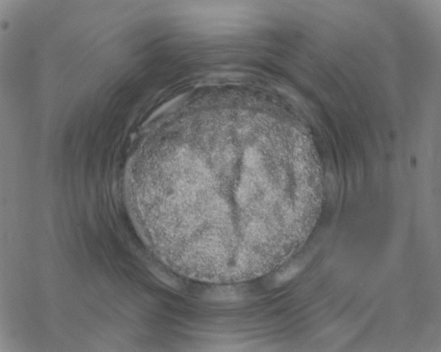 X0000076320381200610272010