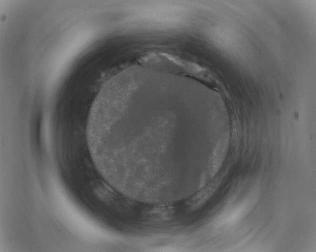 X0000076320383200610272010