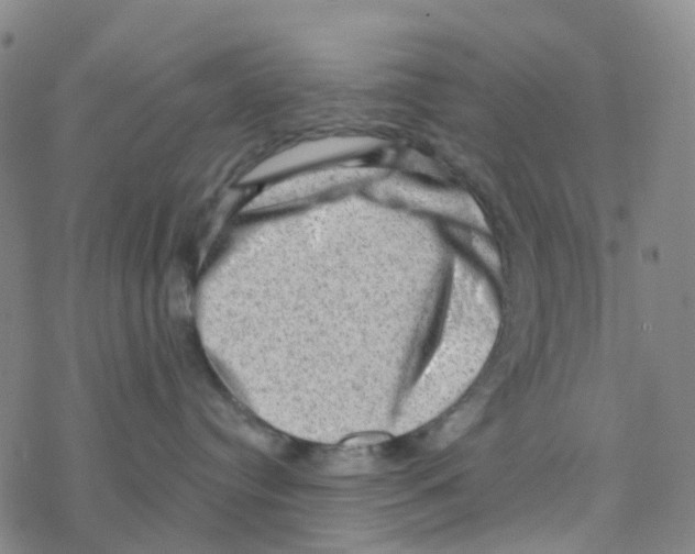 X0000076320384200610272010