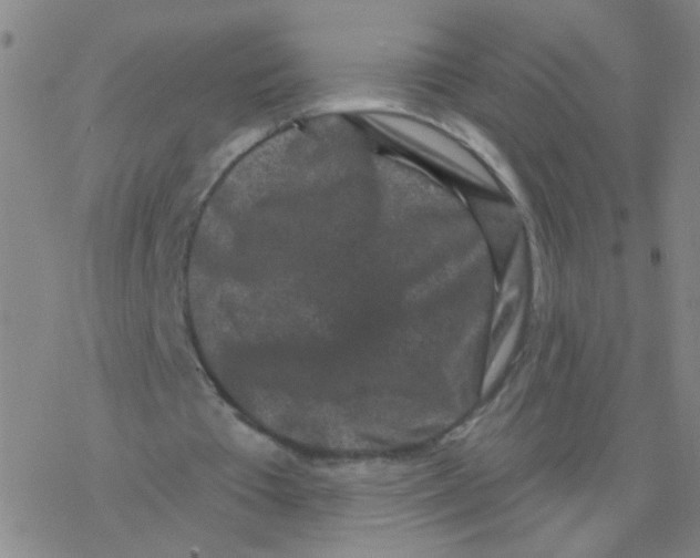 X0000076320385200610272010