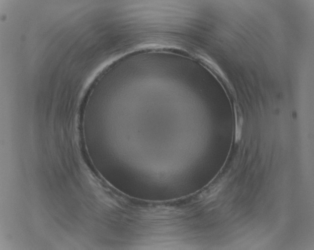 X0000076320387200610272010