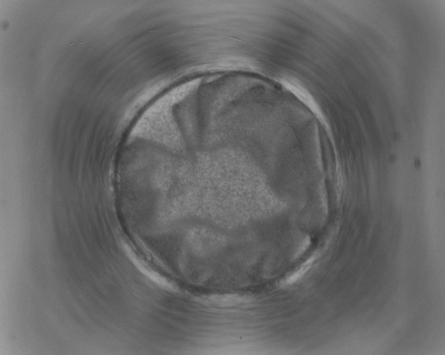 X0000076320389200610272009