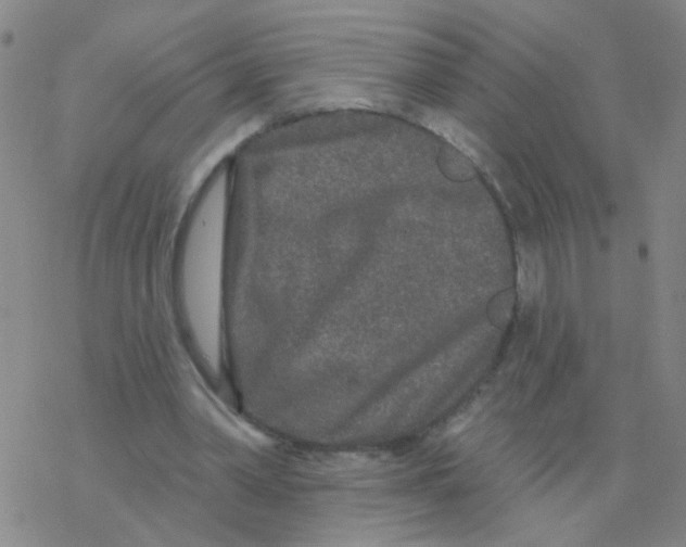 X0000076320390200610272009