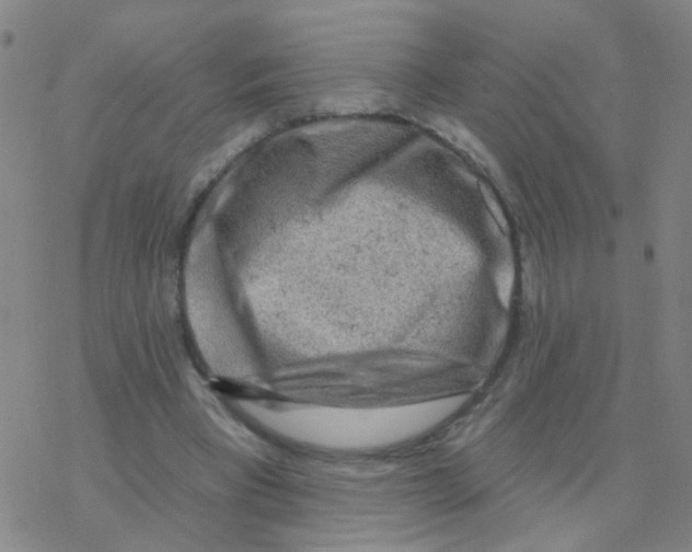 X0000076320393200610272009