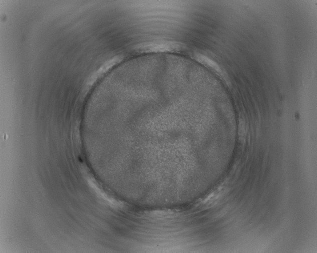 X0000076320394200610272009