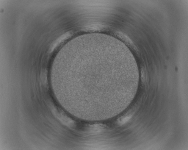 X0000076320396200610272009