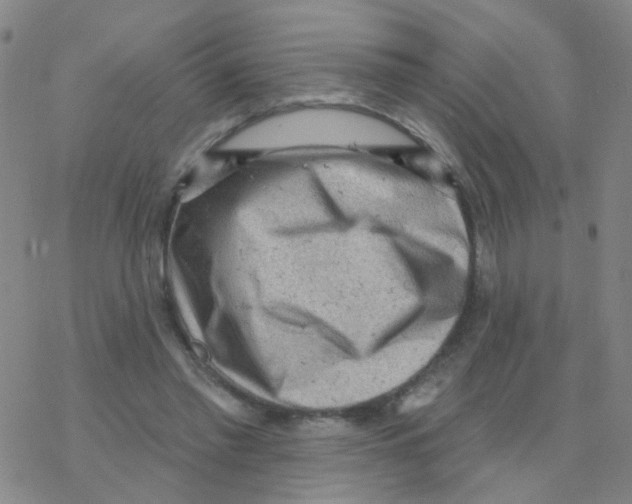 X0000076320397200610272009