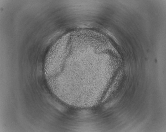 X0000076320402200610272009