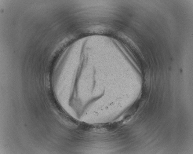 X0000076320403200610272009