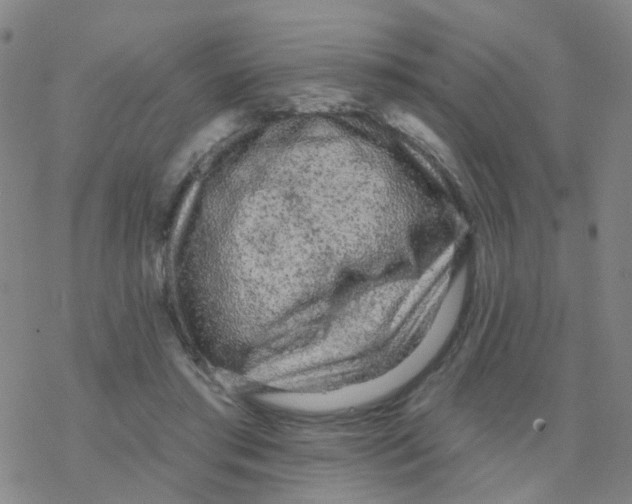 X0000076320405200610272009