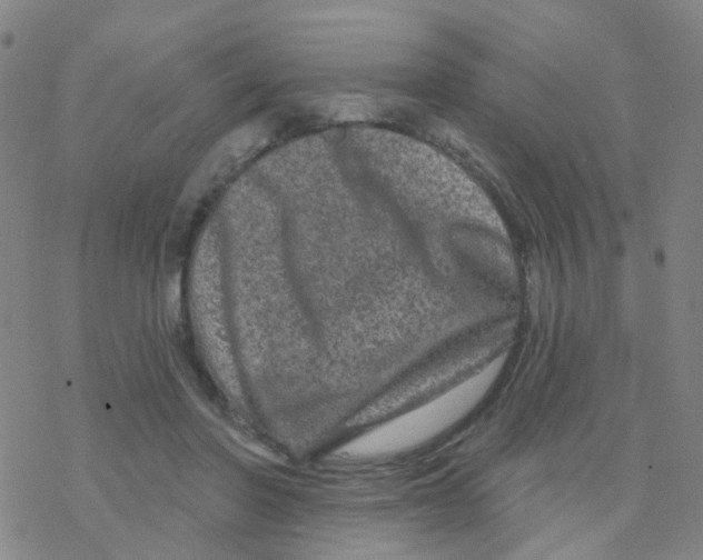 X0000076320406200610272009