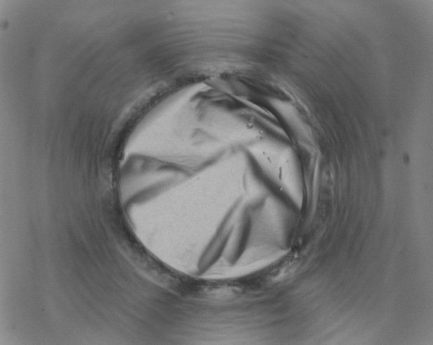 X0000076320407200610272009