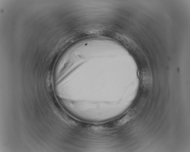 X0000076320408200610272009