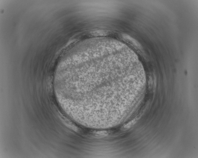 X0000076320409200610272009