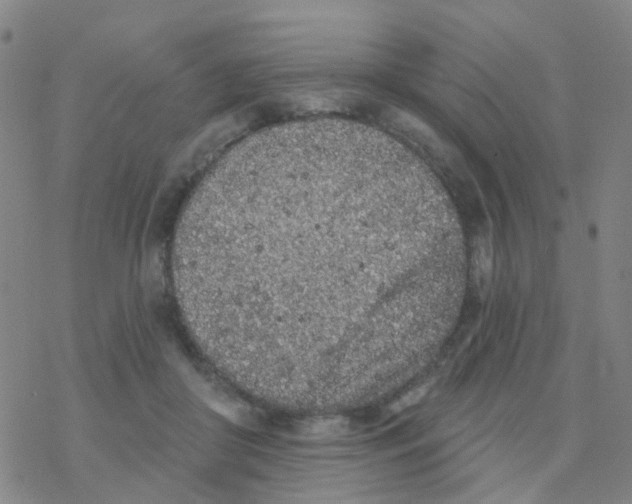 X0000076320410200610272009