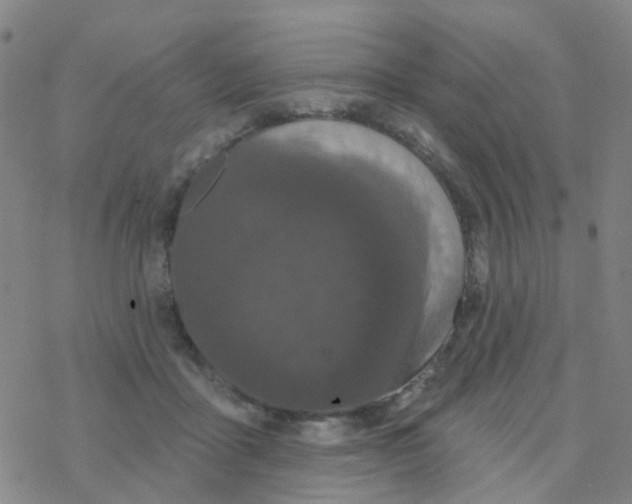 X0000076320411200610272009