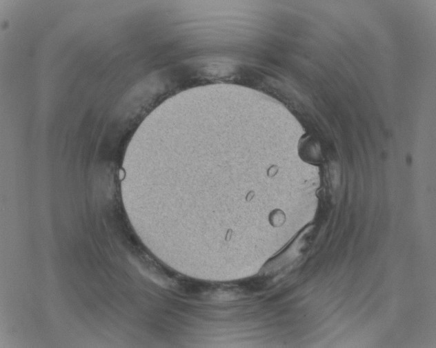 X0000076320412200610272009