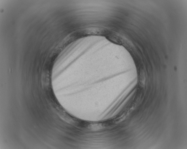 X0000076320413200610272009