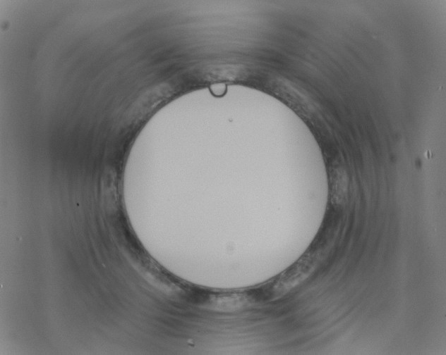 X0000076320414200610272009