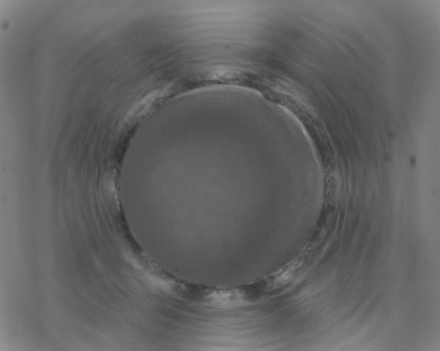 X0000076320415200610272009