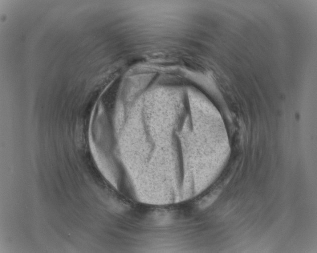 X0000076320416200610272009