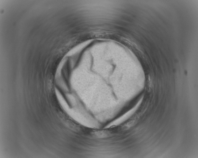 X0000076320417200610272009