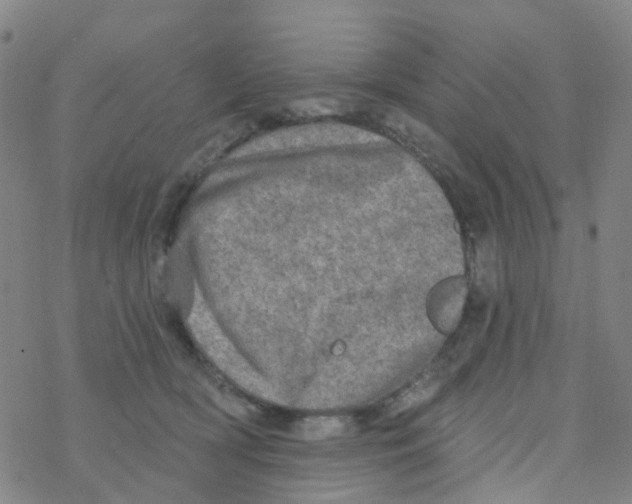 X0000076320418200610272009