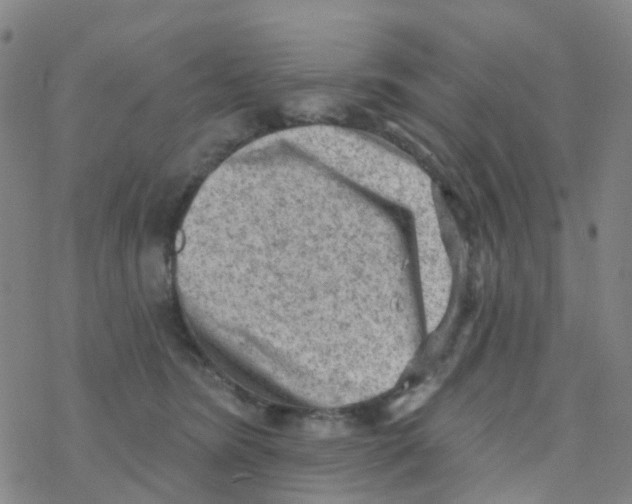 X0000076320420200610272009