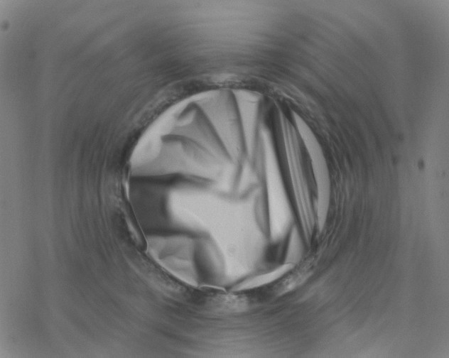 X0000076320421200610272009