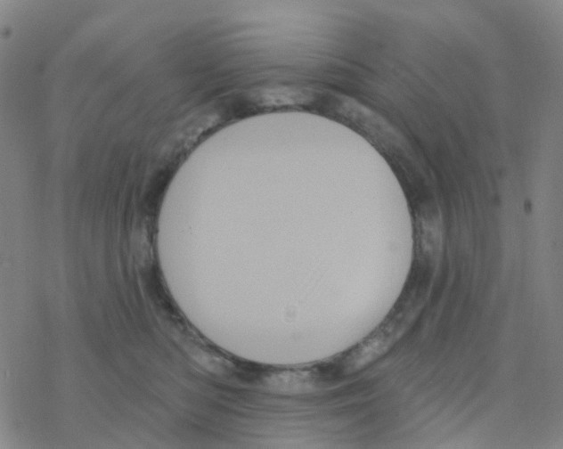 X0000076320422200610272009