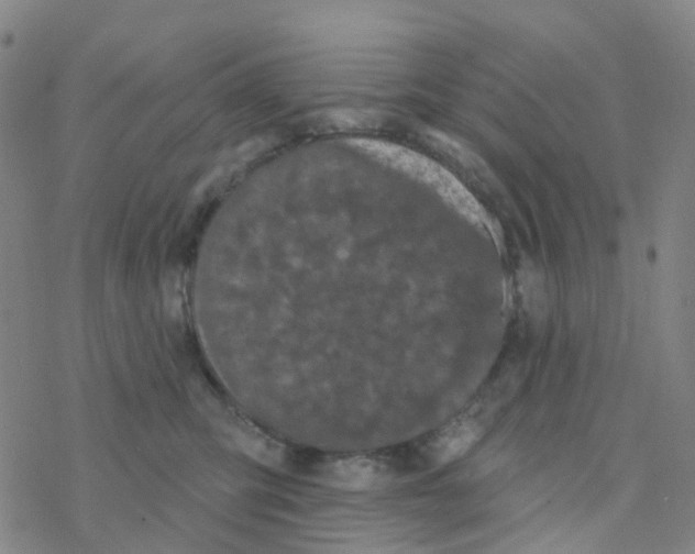 X0000076320423200610272009