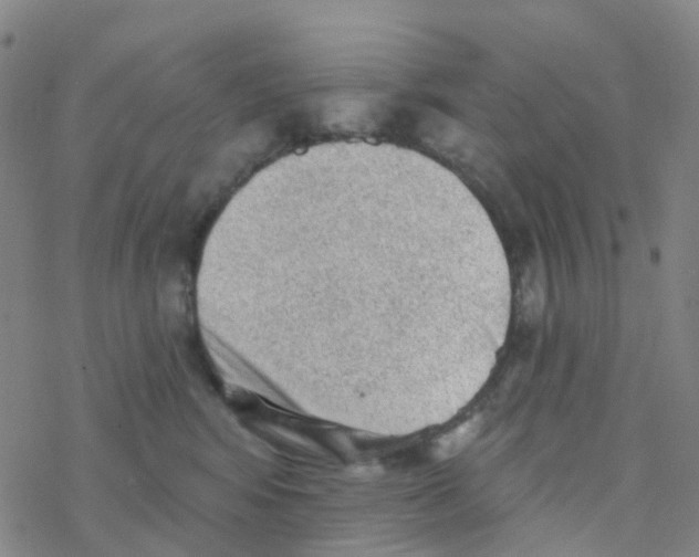 X0000076320424200610272009