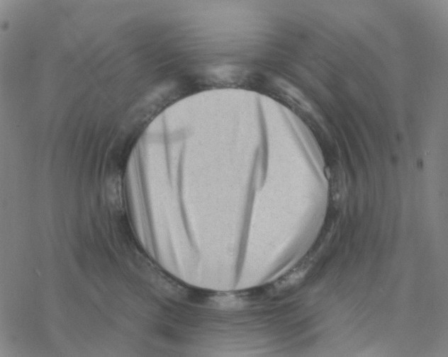 X0000076320425200610272009