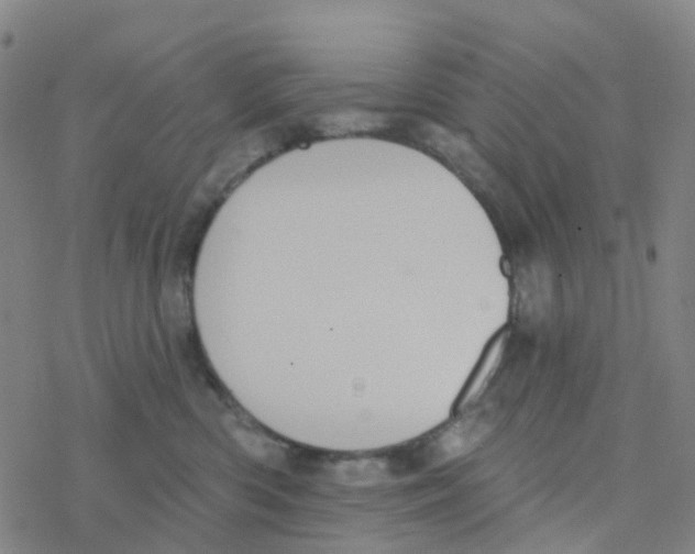 X0000076320426200610272009