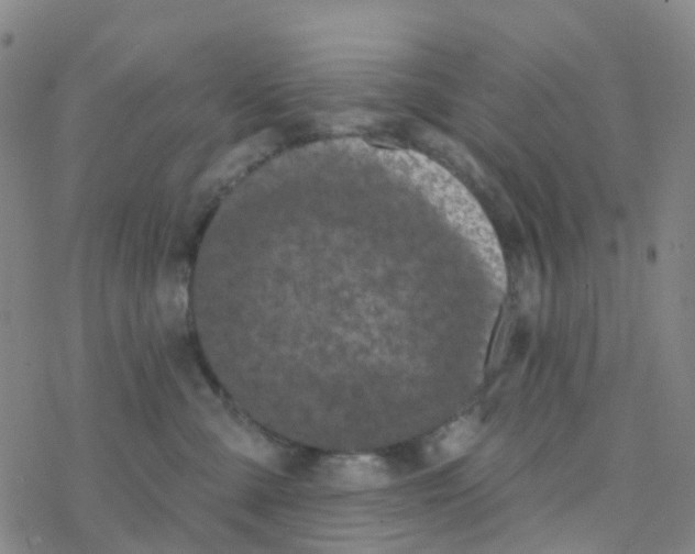 X0000076320427200610272009