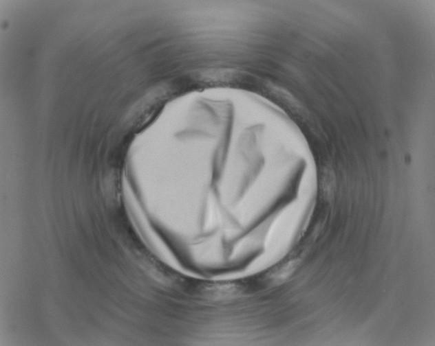 X0000076320428200610272009