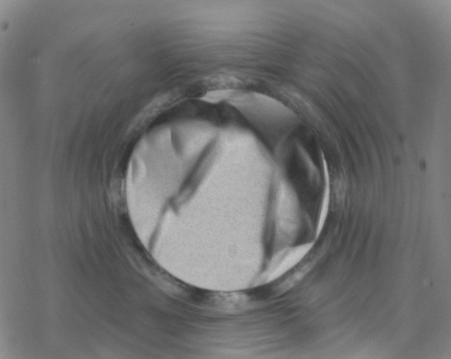 X0000076320429200610272009