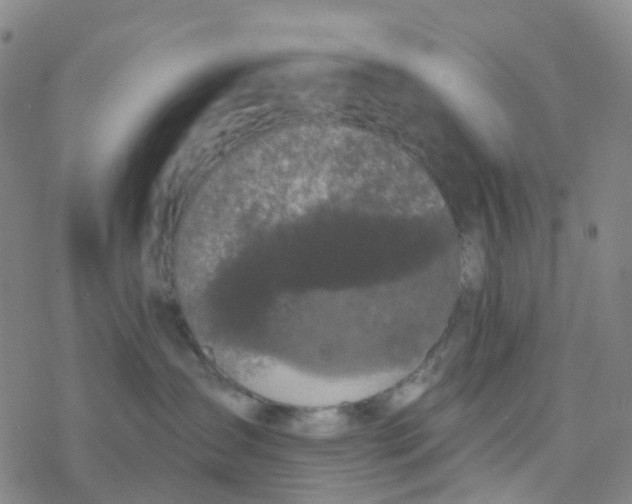 X0000076320431200610272009