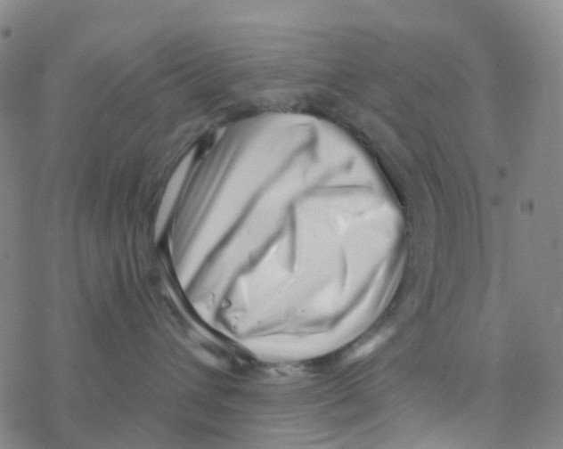 X0000076320432200610272009