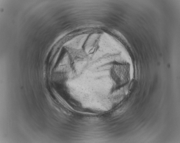 X0000076320435200610272008